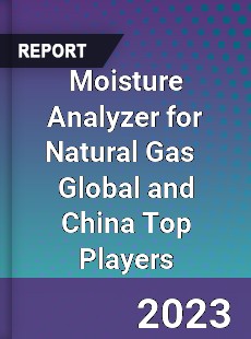 Moisture Analyzer for Natural Gas Global and China Top Players Market