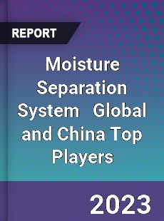 Moisture Separation System Global and China Top Players Market