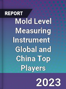 Mold Level Measuring Instrument Global and China Top Players Market