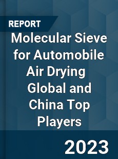 Molecular Sieve for Automobile Air Drying Global and China Top Players Market