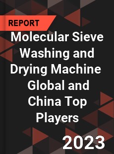 Molecular Sieve Washing and Drying Machine Global and China Top Players Market