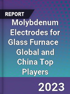 Molybdenum Electrodes for Glass Furnace Global and China Top Players Market