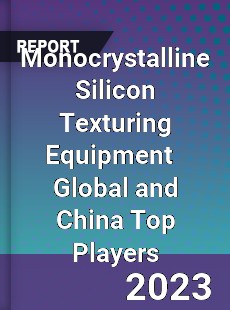 Monocrystalline Silicon Texturing Equipment Global and China Top Players Market