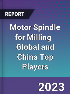 Motor Spindle for Milling Global and China Top Players Market