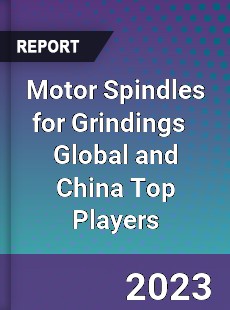 Motor Spindles for Grindings Global and China Top Players Market