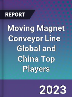 Moving Magnet Conveyor Line Global and China Top Players Market