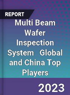 Multi Beam Wafer Inspection System Global and China Top Players Market