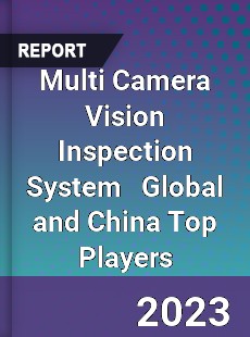 Multi Camera Vision Inspection System Global and China Top Players Market