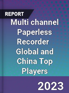 Multi channel Paperless Recorder Global and China Top Players Market