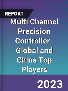 Multi Channel Precision Controller Global and China Top Players Market