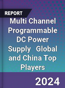 Multi Channel Programmable DC Power Supply Global and China Top Players Market