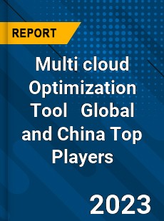 Multi cloud Optimization Tool Global and China Top Players Market