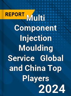 Multi Component Injection Moulding Service Global and China Top Players Market