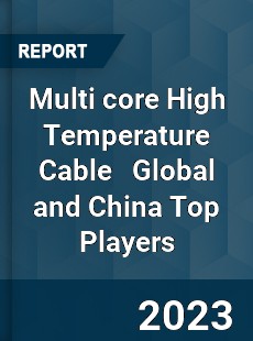 Multi core High Temperature Cable Global and China Top Players Market