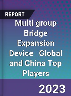 Multi group Bridge Expansion Device Global and China Top Players Market