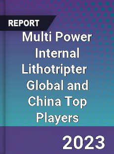 Multi Power Internal Lithotripter Global and China Top Players Market