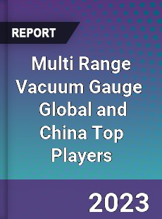 Multi Range Vacuum Gauge Global and China Top Players Market