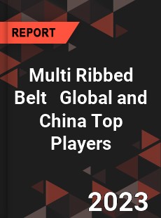 Multi Ribbed Belt Global and China Top Players Market