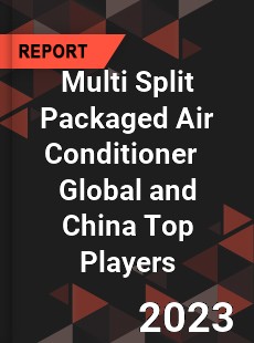 Multi Split Packaged Air Conditioner Global and China Top Players Market