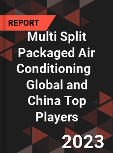 Multi Split Packaged Air Conditioning Global and China Top Players Market