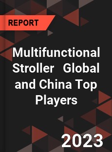 Multifunctional Stroller Global and China Top Players Market