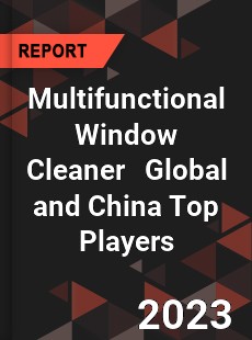 Multifunctional Window Cleaner Global and China Top Players Market