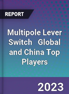 Multipole Lever Switch Global and China Top Players Market