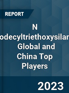 N Dodecyltriethoxysilane Global and China Top Players Market