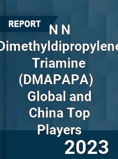 N N Dimethyldipropylene Triamine Global and China Top Players Market