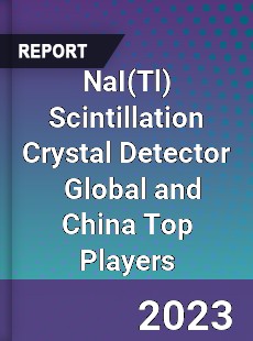 NaI Scintillation Crystal Detector Global and China Top Players Market