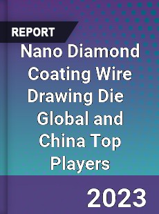 Nano Diamond Coating Wire Drawing Die Global and China Top Players Market