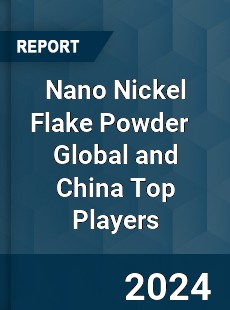 Nano Nickel Flake Powder Global and China Top Players Market