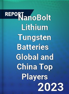 NanoBolt Lithium Tungsten Batteries Global and China Top Players Market