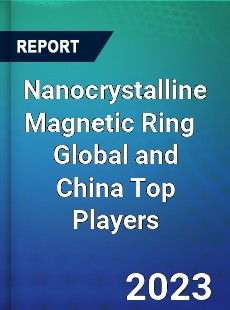 Nanocrystalline Magnetic Ring Global and China Top Players Market