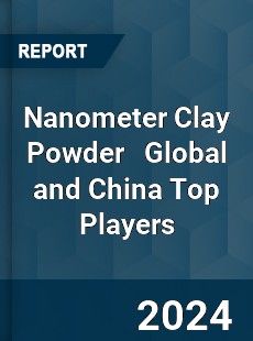 Nanometer Clay Powder Global and China Top Players Market