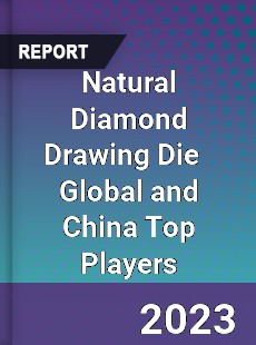 Natural Diamond Drawing Die Global and China Top Players Market