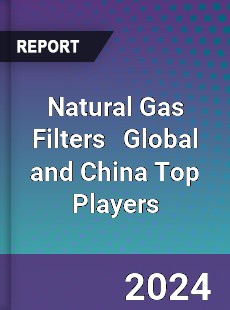 Natural Gas Filters Global and China Top Players Market