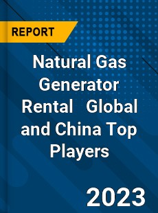 Natural Gas Generator Rental Global and China Top Players Market