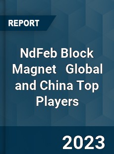 NdFeb Block Magnet Global and China Top Players Market