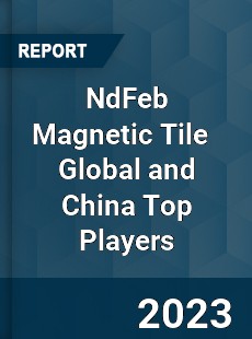 NdFeb Magnetic Tile Global and China Top Players Market