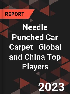 Needle Punched Car Carpet Global and China Top Players Market