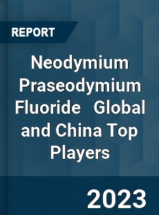 Neodymium Praseodymium Fluoride Global and China Top Players Market