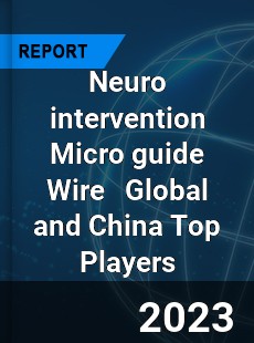 Neuro intervention Micro guide Wire Global and China Top Players Market