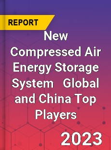 New Compressed Air Energy Storage System Global and China Top Players Market