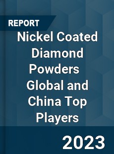 Nickel Coated Diamond Powders Global and China Top Players Market