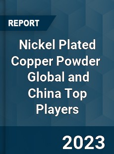 Nickel Plated Copper Powder Global and China Top Players Market