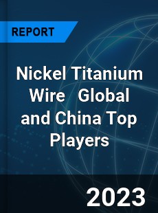 Nickel Titanium Wire Global and China Top Players Market