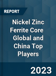 Nickel Zinc Ferrite Core Global and China Top Players Market