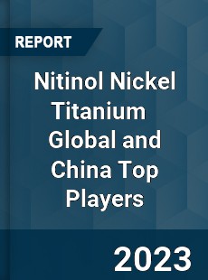 Nitinol Nickel Titanium Global and China Top Players Market