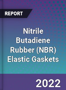 Nitrile Butadiene Rubber Elastic Gaskets Market